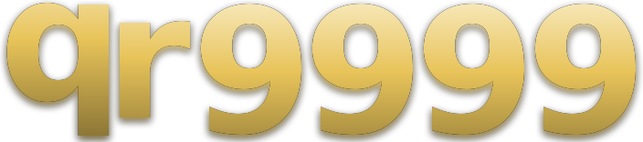 qr9999 logo